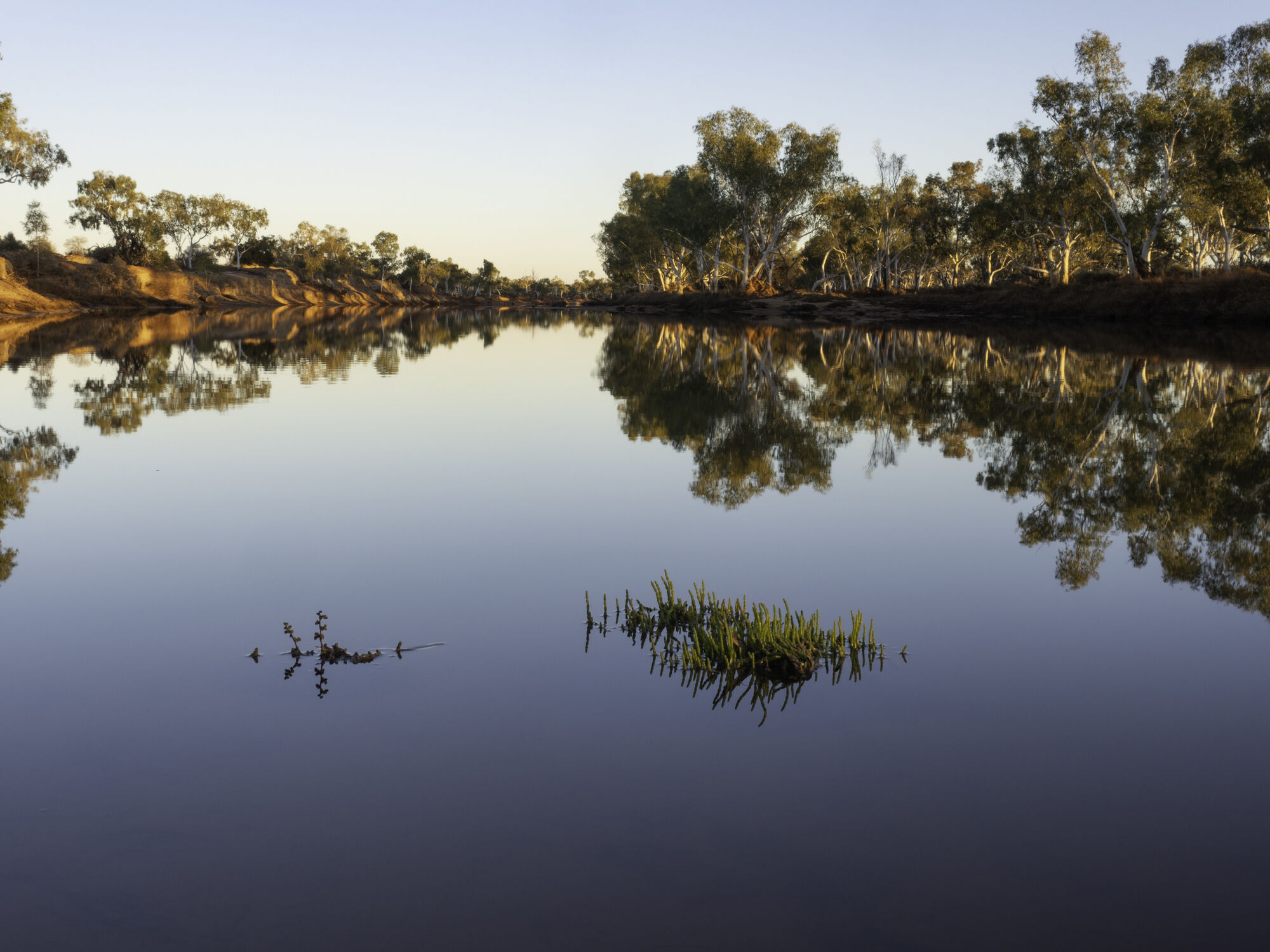June 2026 Quarterly Outlook – Still waters run deep